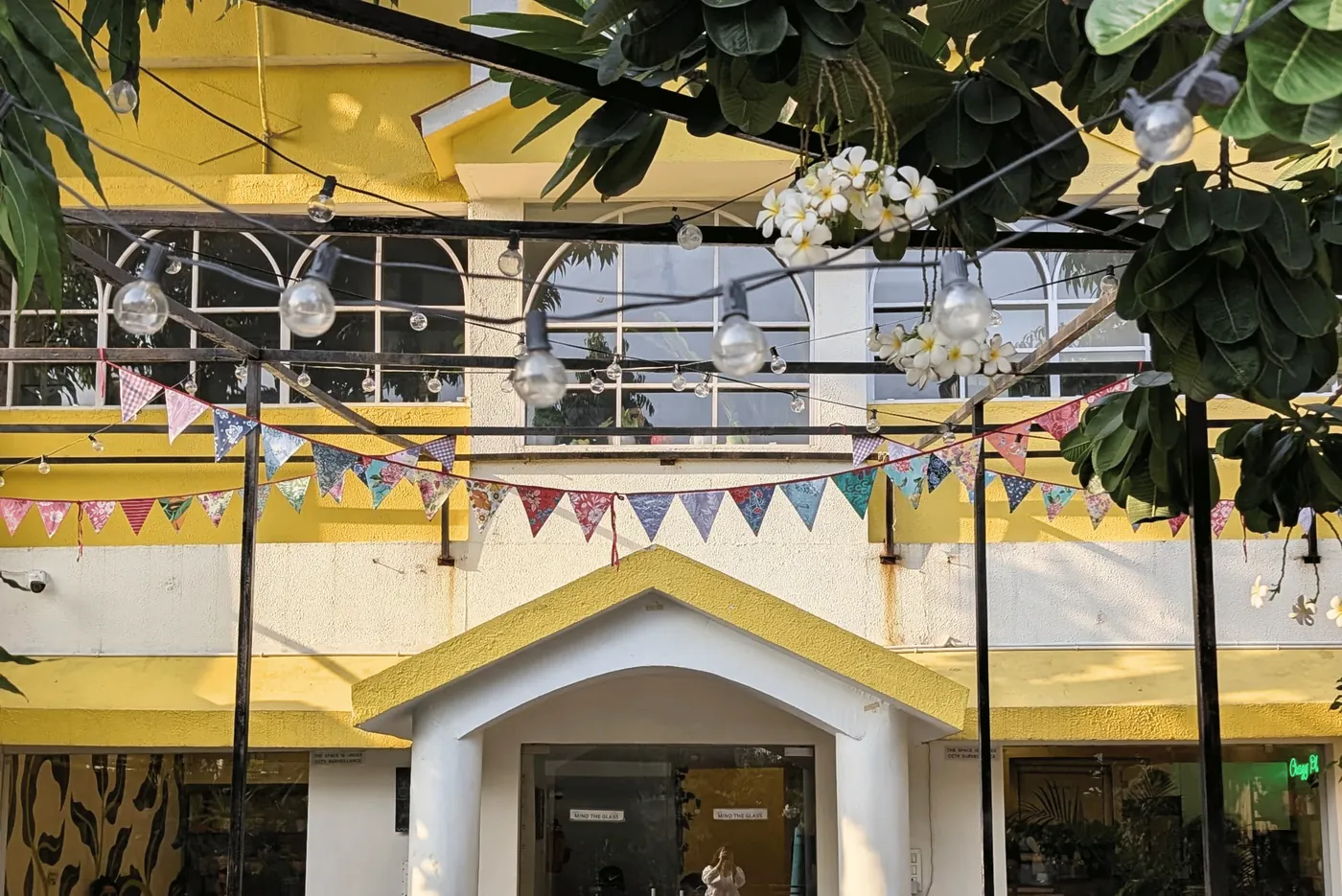 Searching for the Best Cafe in Ahmedabad? Here's Why People Choose Crazy Plant Lady