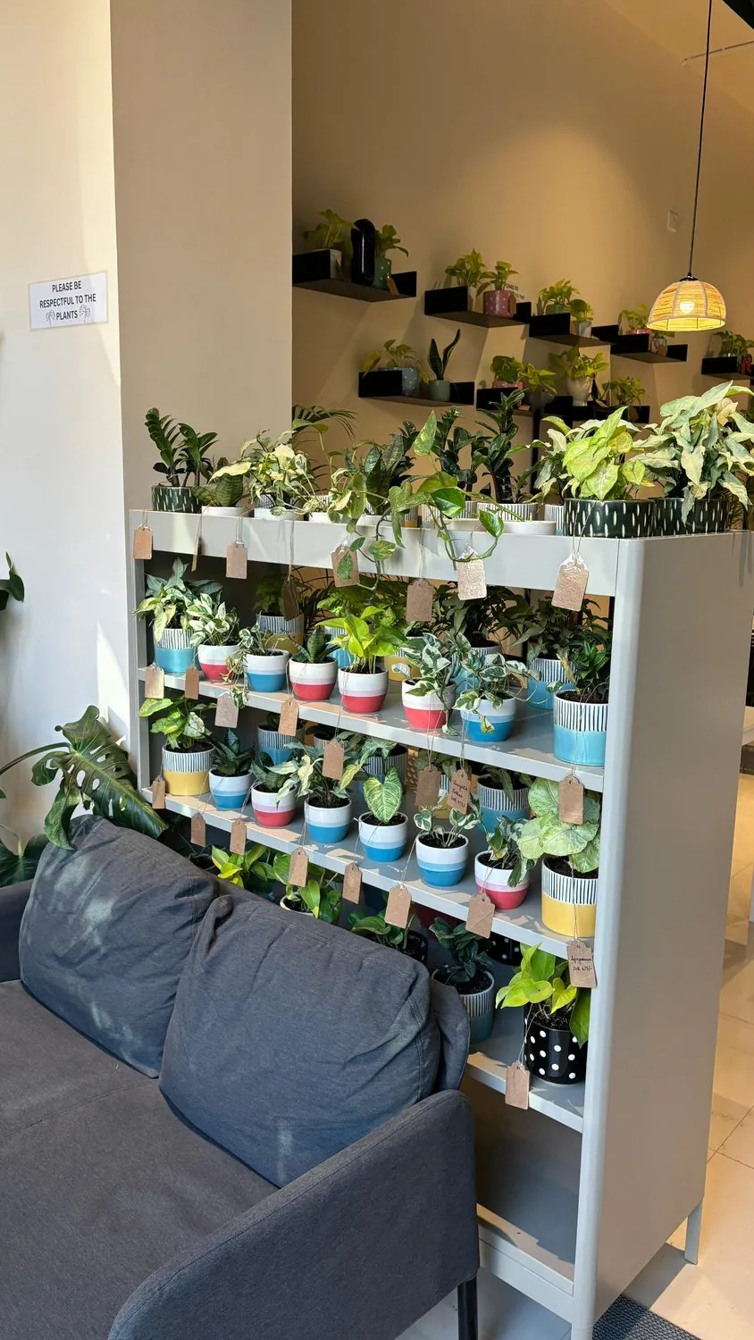 Plant Boutique